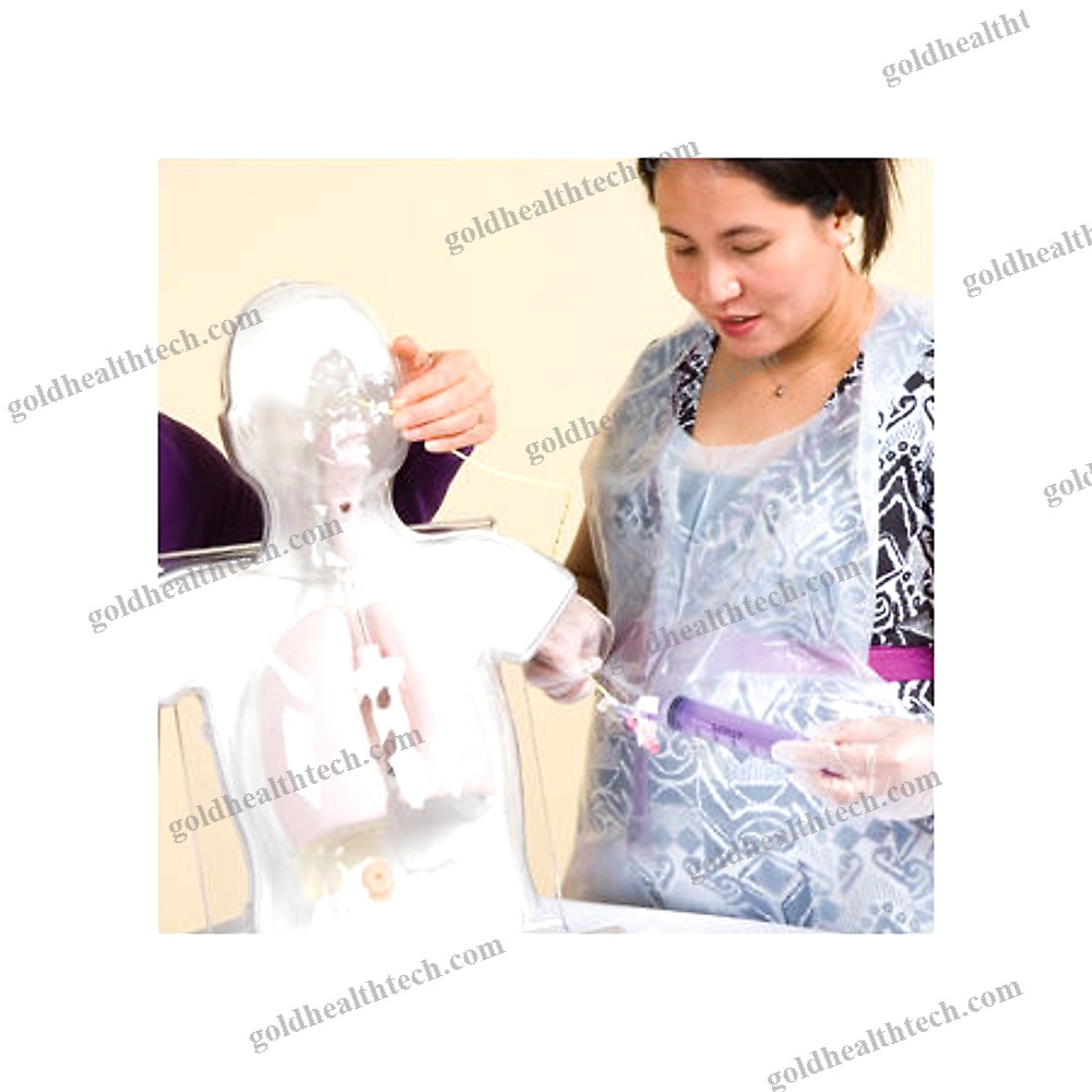 Pediatric Training Manikin