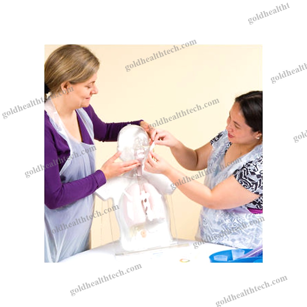 Pediatric Training Manikin