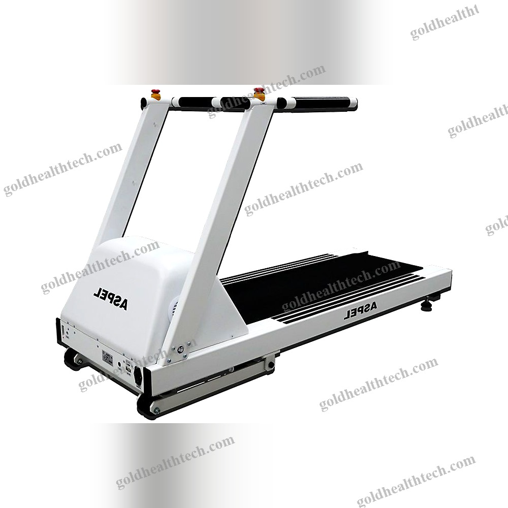 Treadmill Ergometer With Handrails