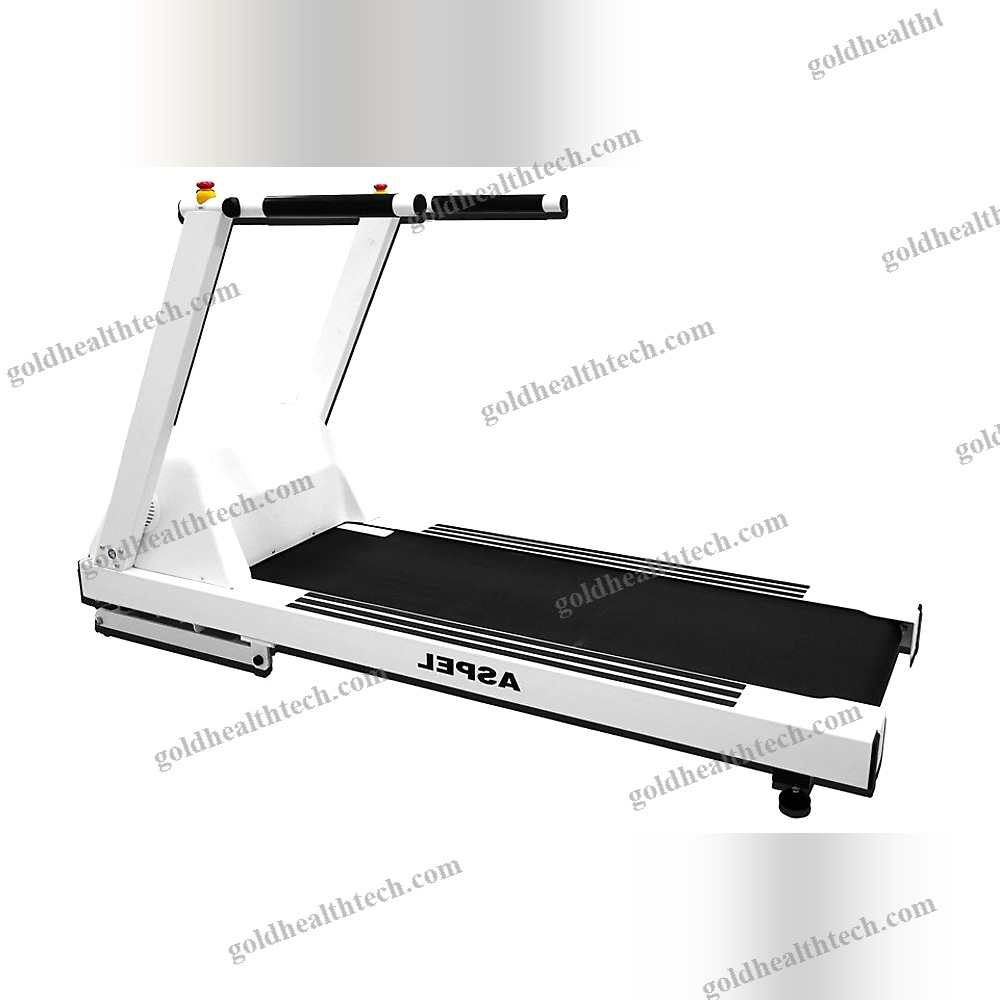 Treadmill Ergometer With Handrails