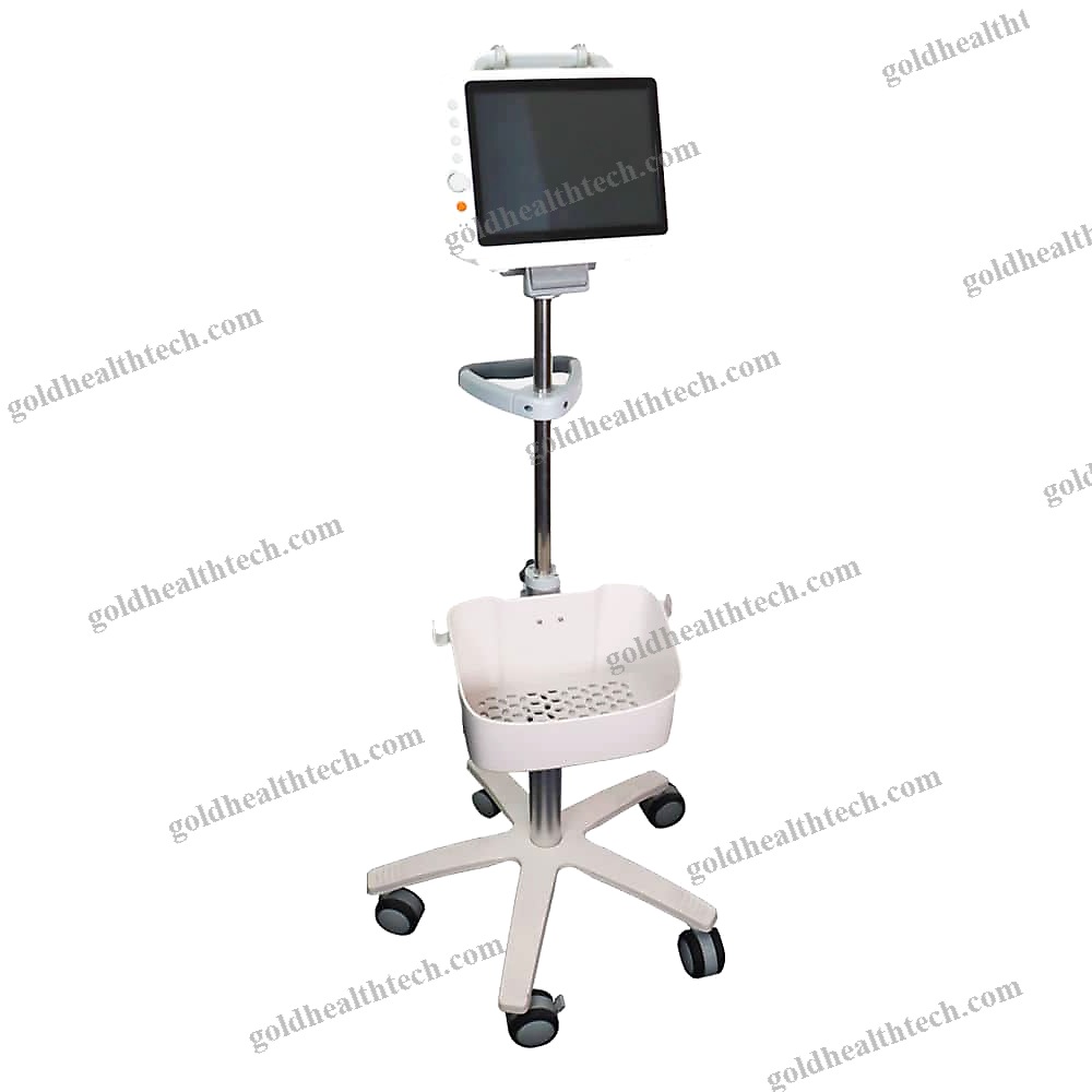 Portable Multi-Parameter Monitor