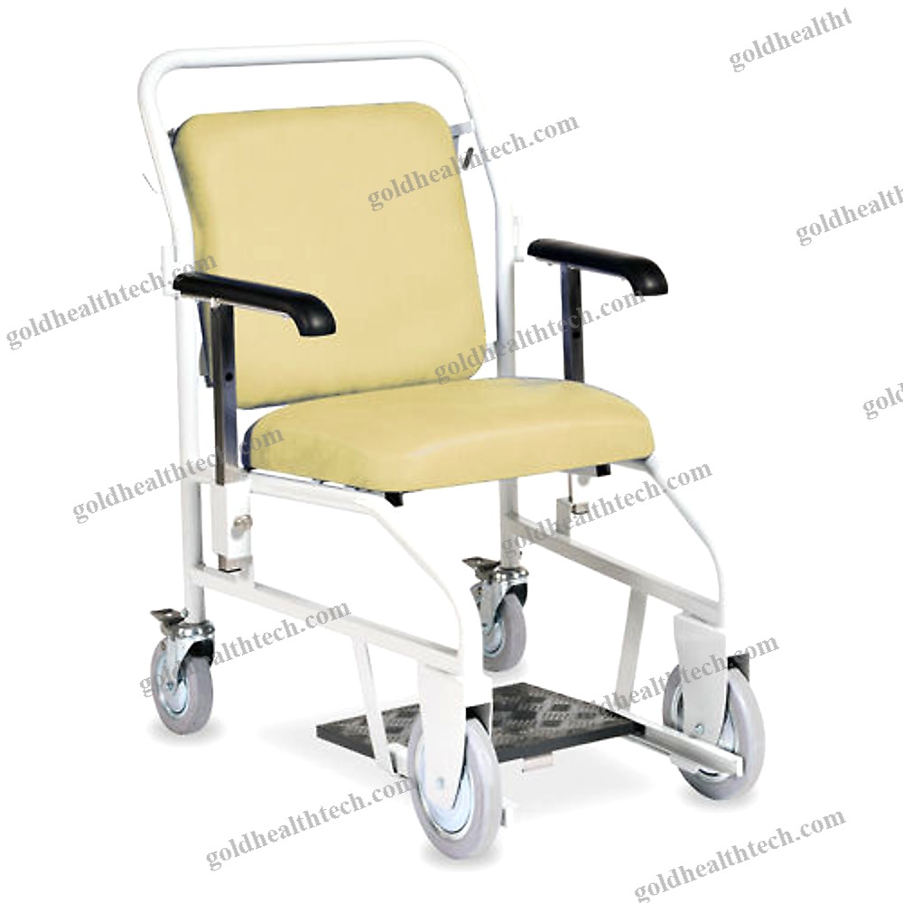 Indoor Patient Transfer Chair