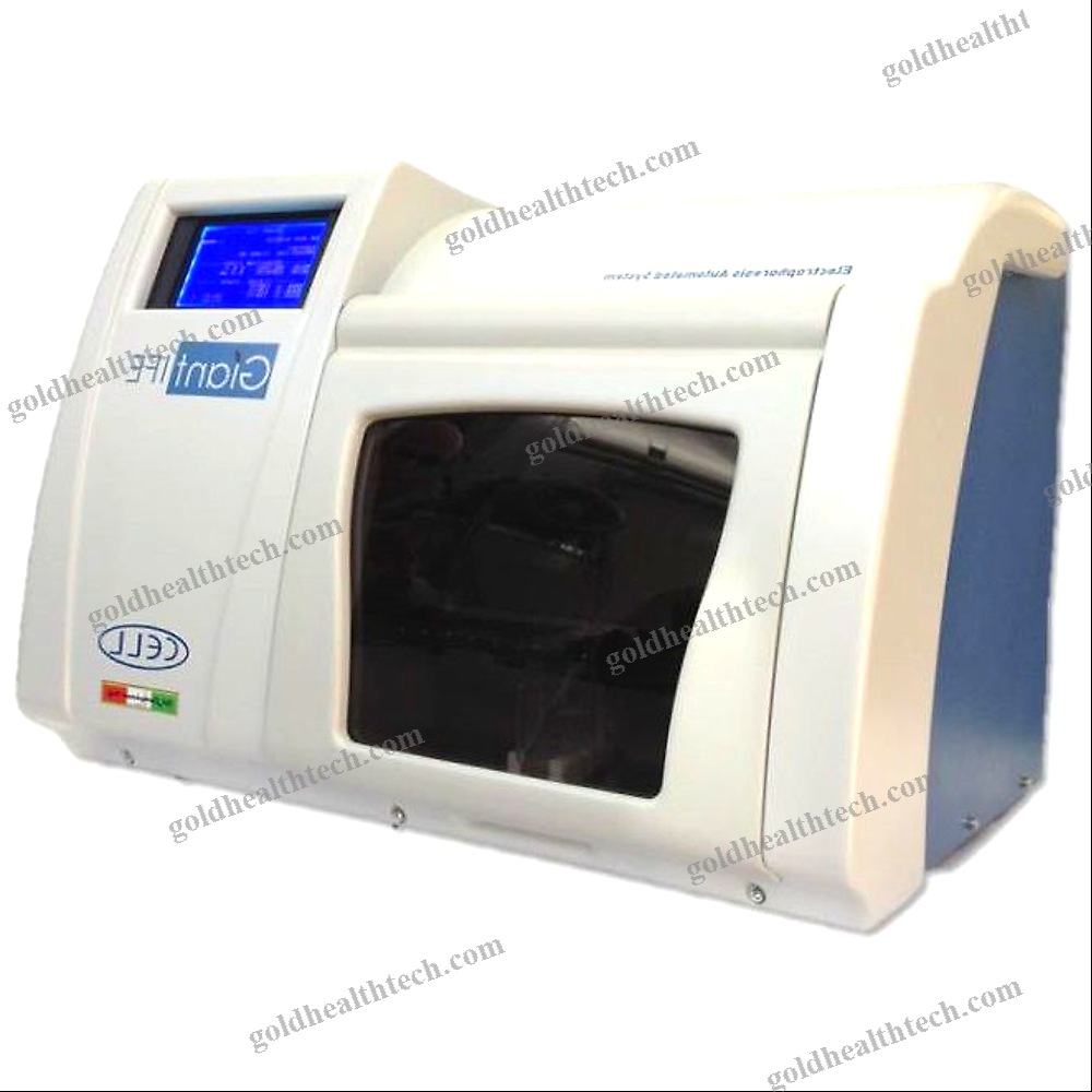 Cellulose Acetate Electrophoresis System