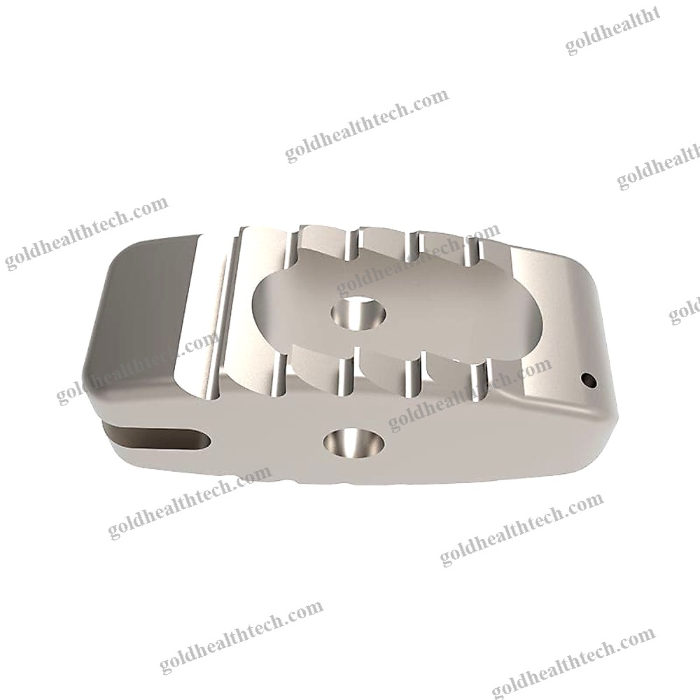 Lumbar Interbody Fusion Cage