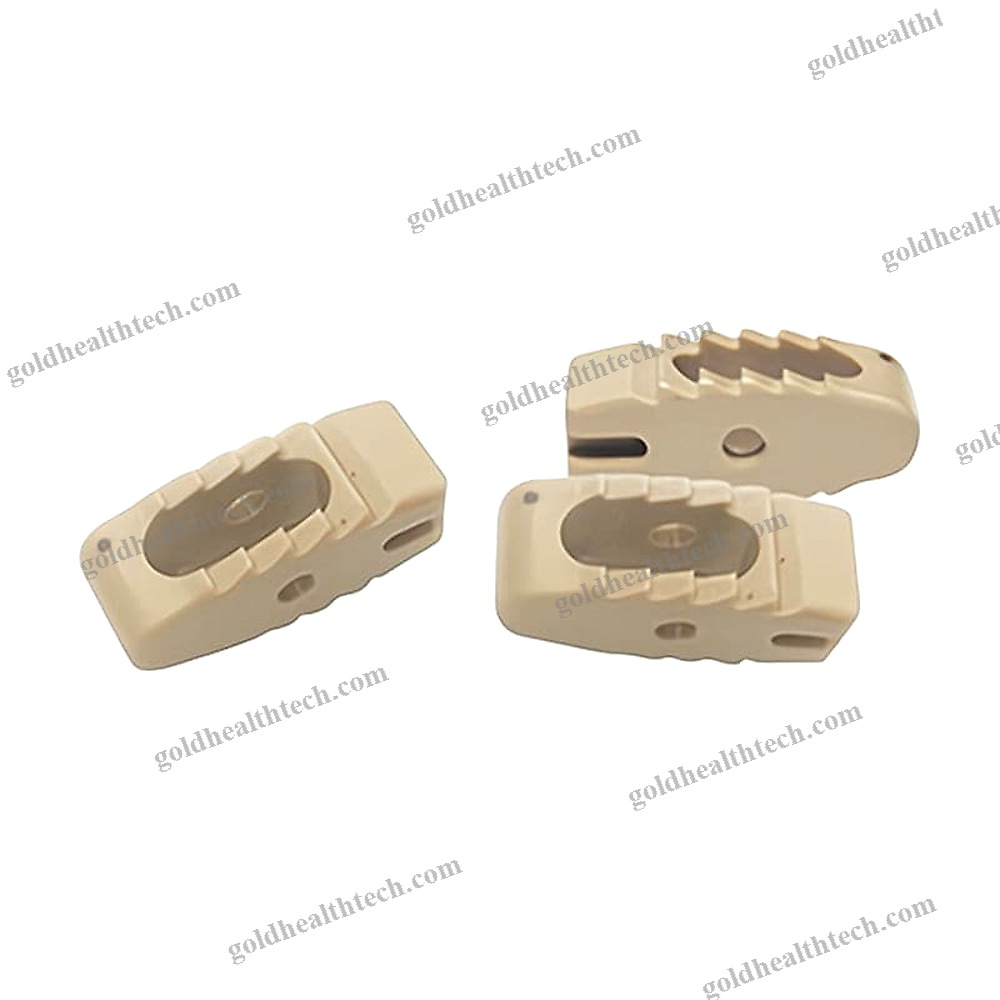Lumbar Interbody Fusion Cage