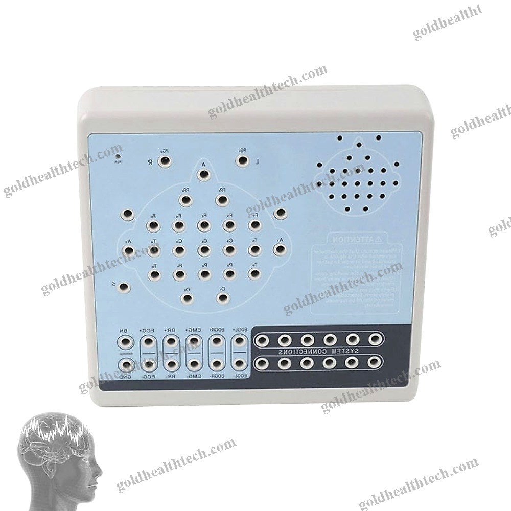 24-Channel Eeg System