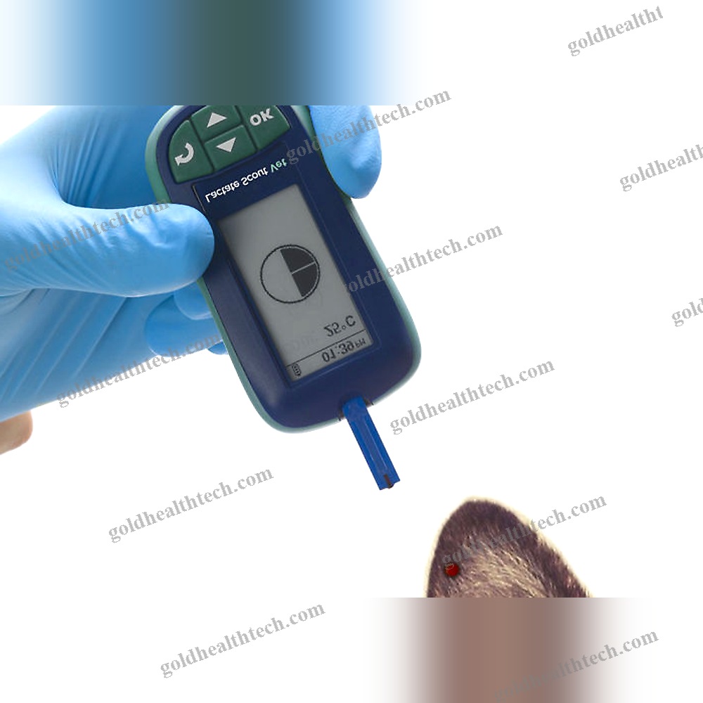 Portable Lactate Analyzer