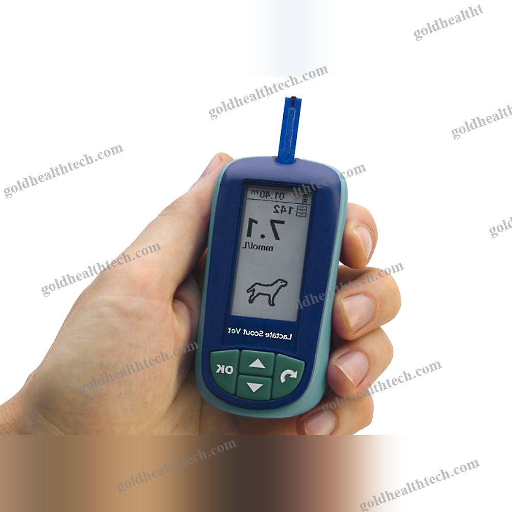 Portable Lactate Analyzer