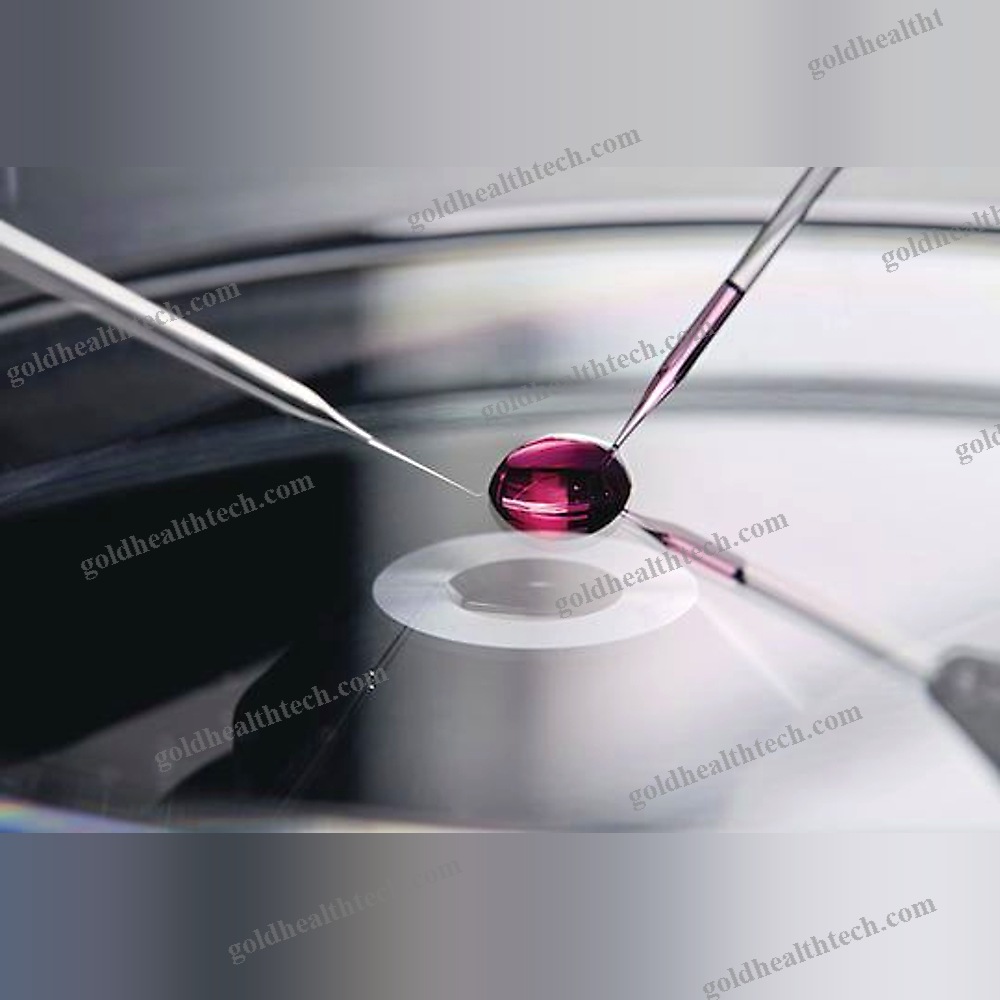 High-Precision Micromanipulator