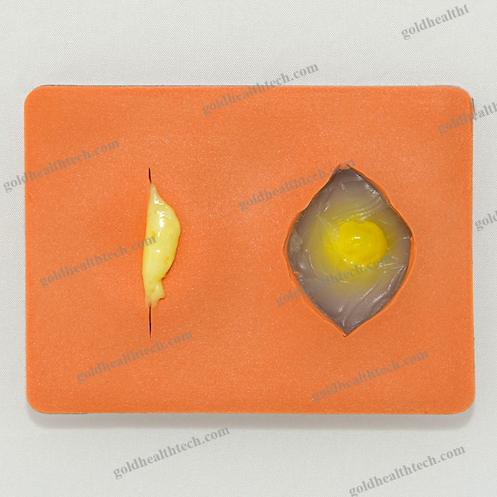 Suture Simulator