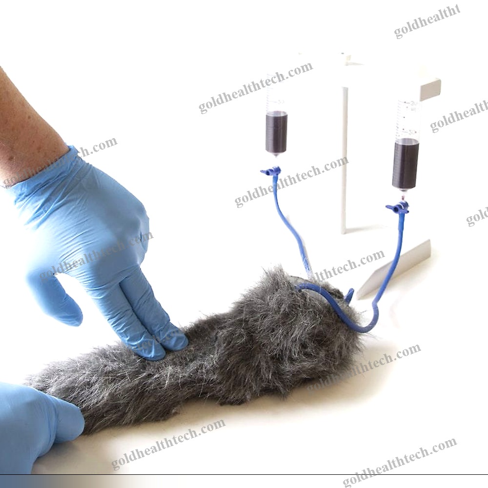 Intravenous Injection Simulator