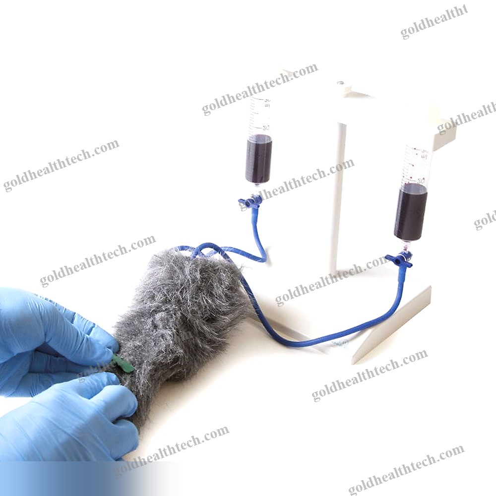 Intravenous Injection Simulator