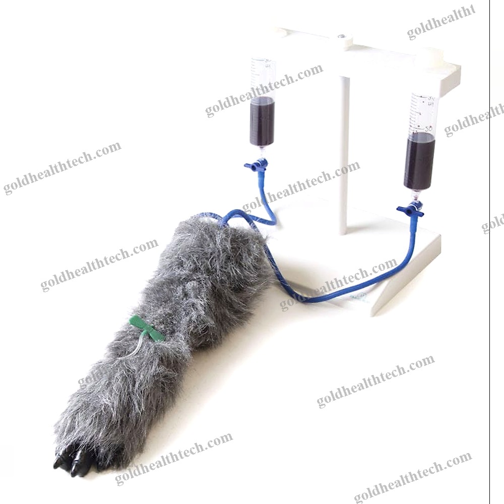 Intravenous Injection Simulator