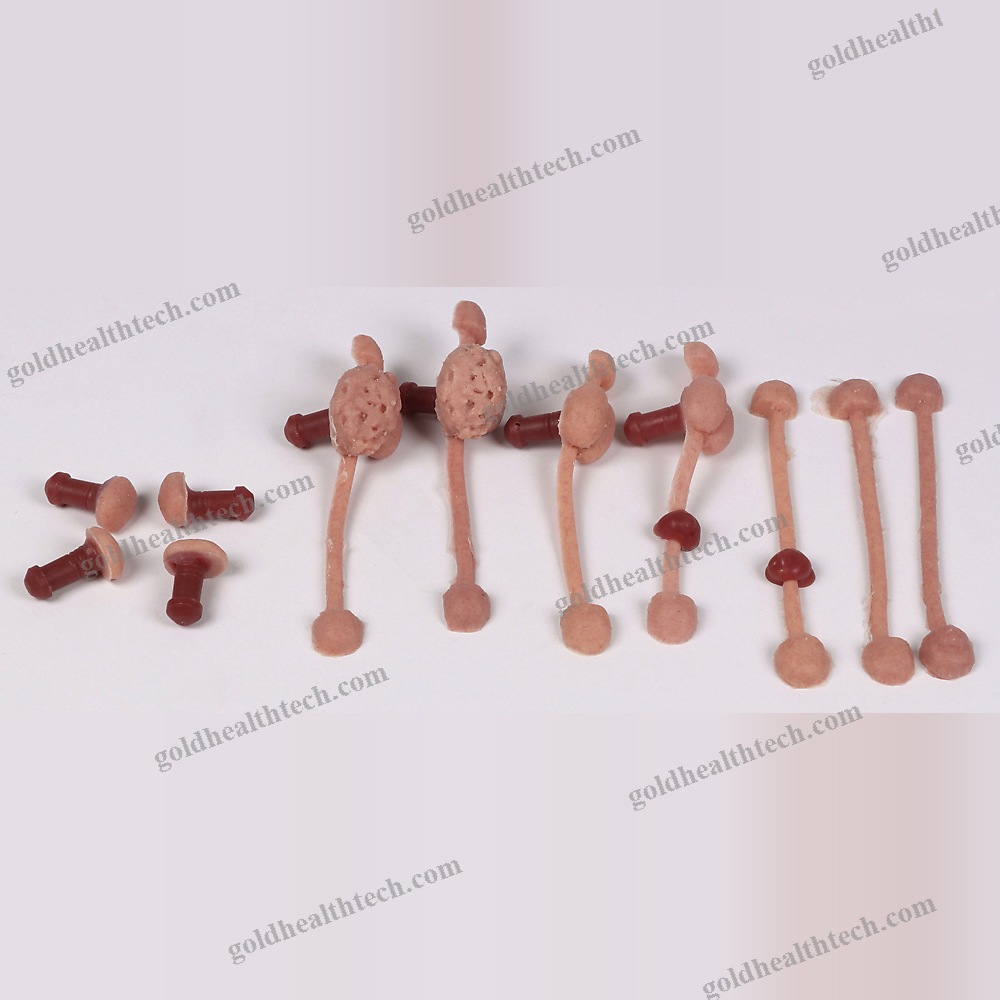 Rectal Examination Simulator