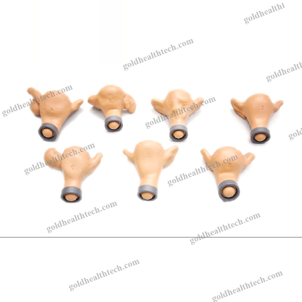 Pelvic Examination Simulator