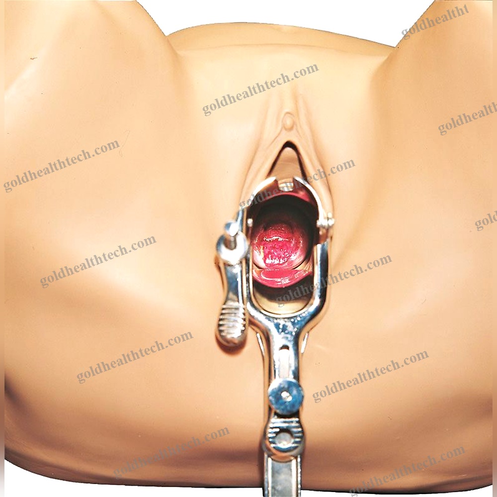 Pelvic Examination Simulator
