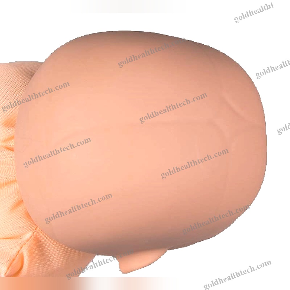 Childbirth Demonstration Simulator