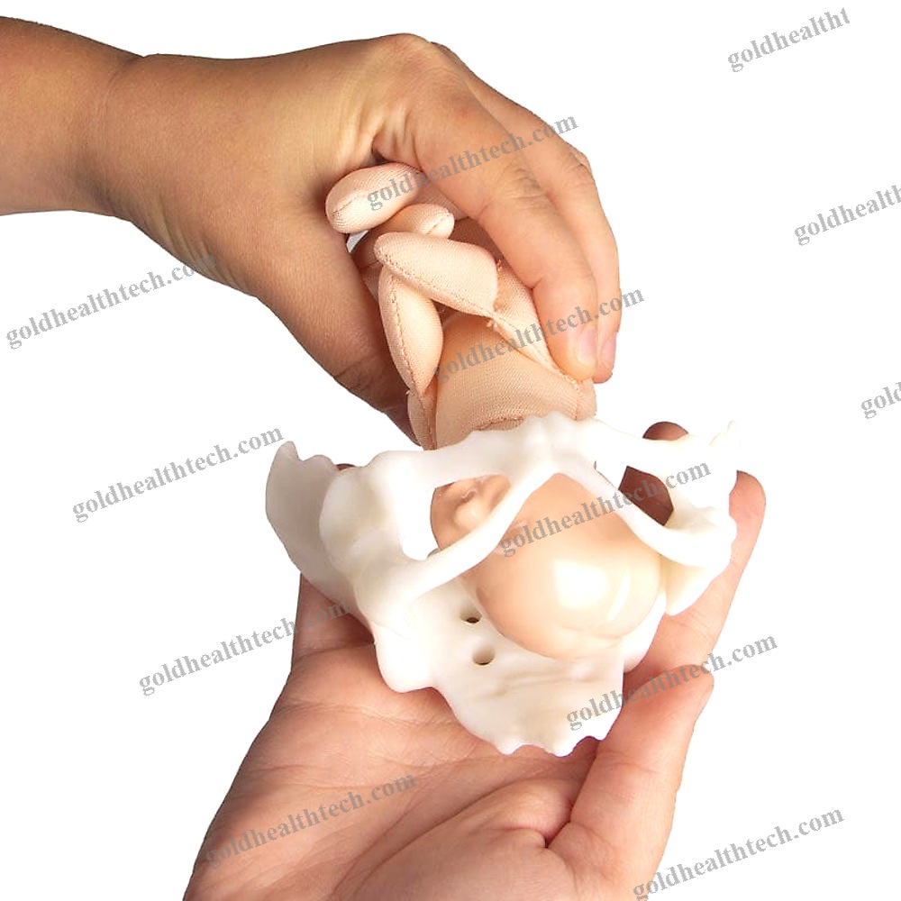 Childbirth Demonstration Simulator
