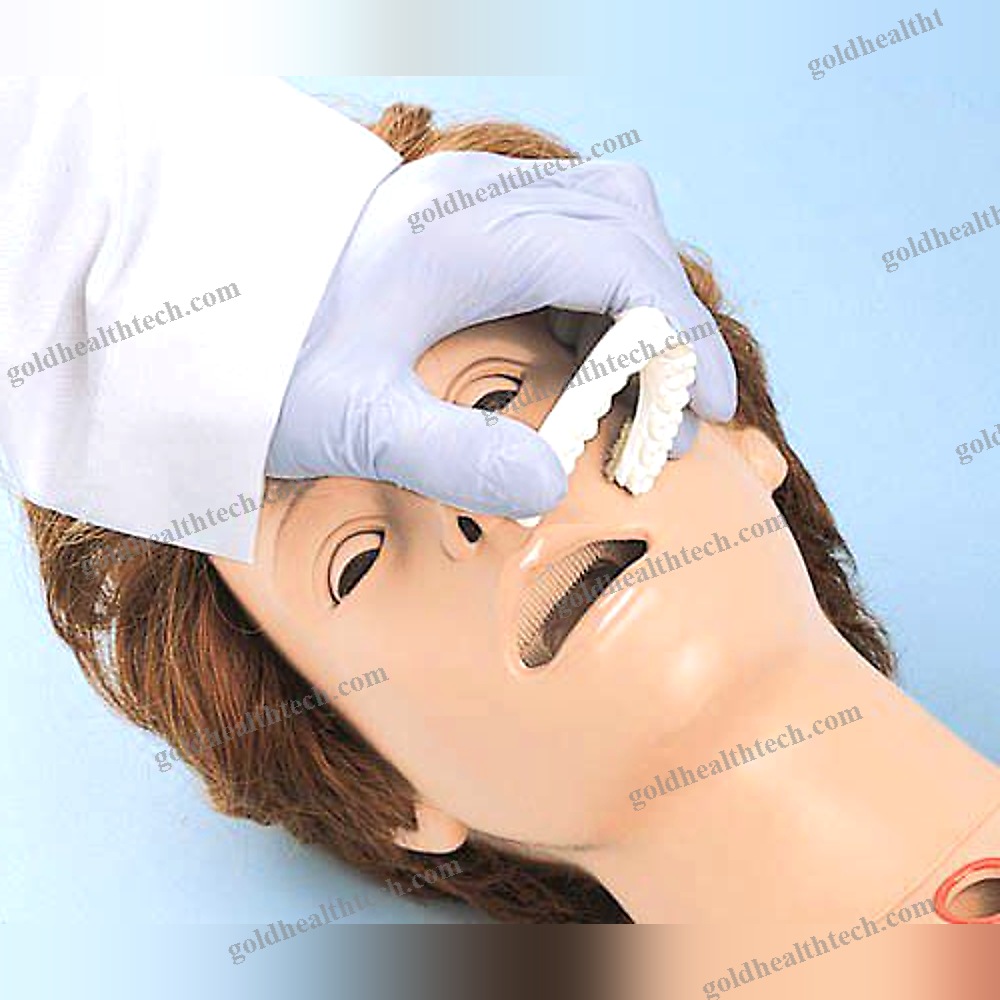 Nursing Care Training Manikin