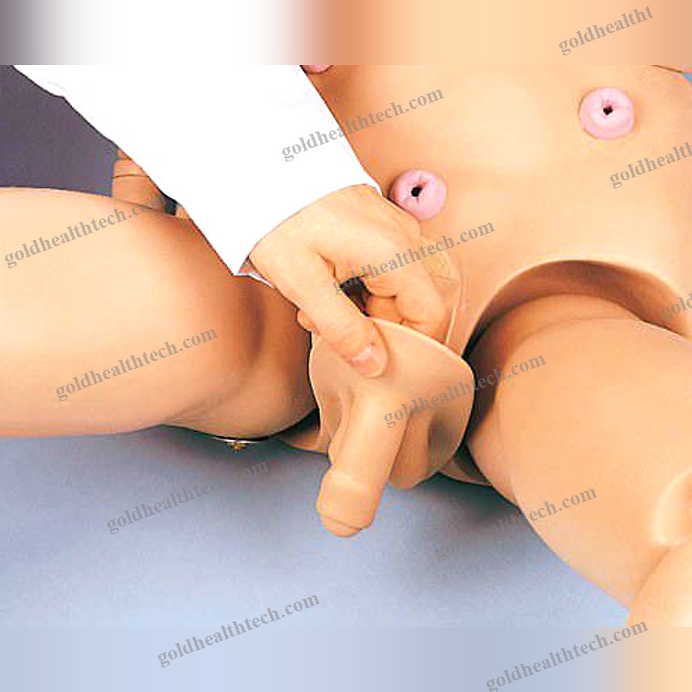 Nursing Care Training Manikin