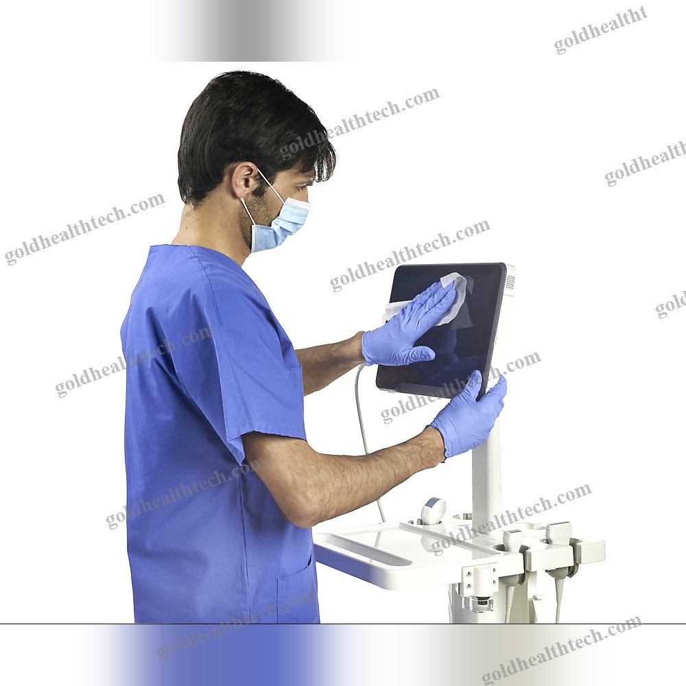 Hand-Held Ultrasound System