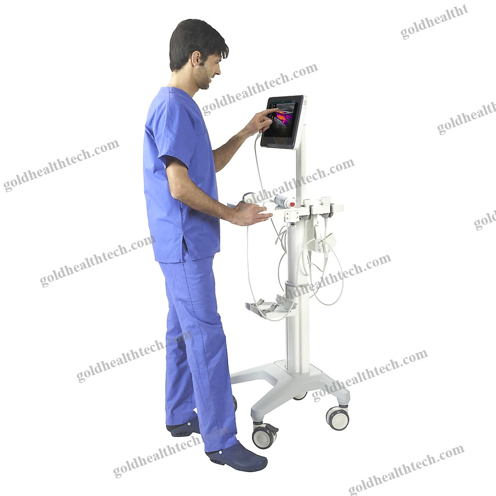 Hand-Held Ultrasound System