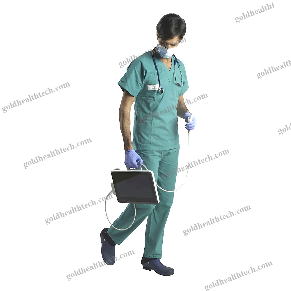 Hand-Held Ultrasound System