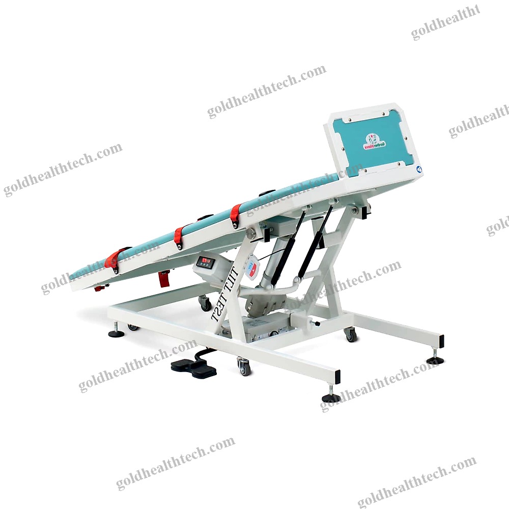 1 Section Tilt Table