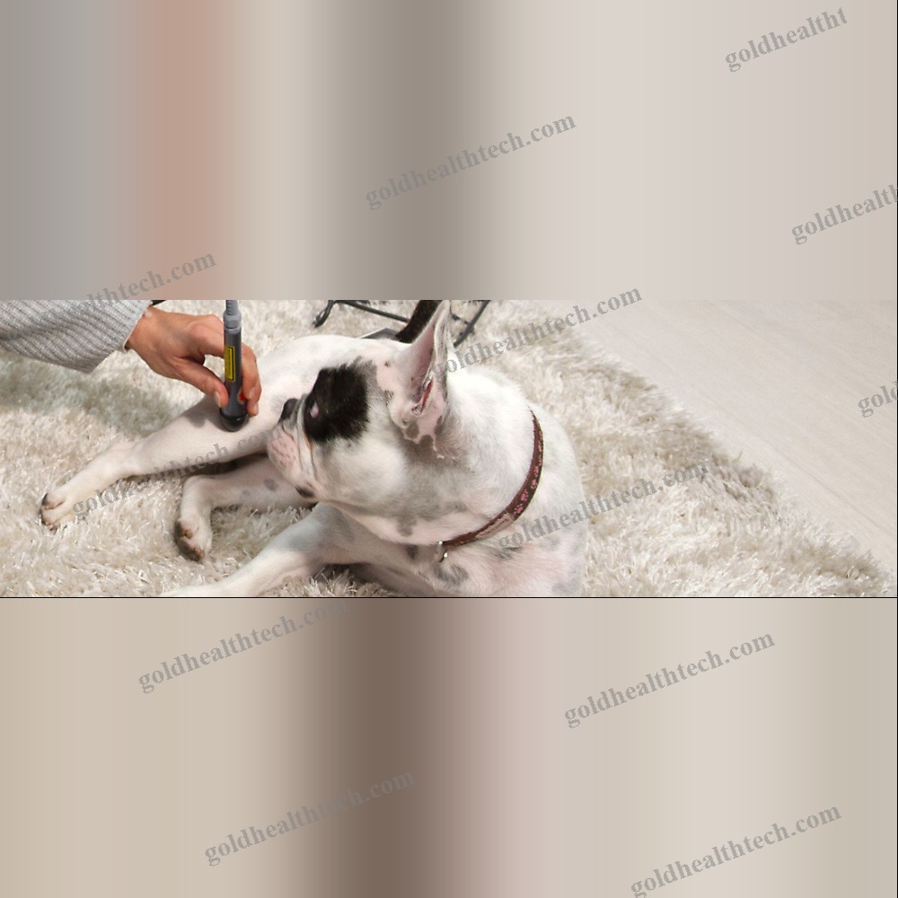 Veterinary Biostimulation Laser