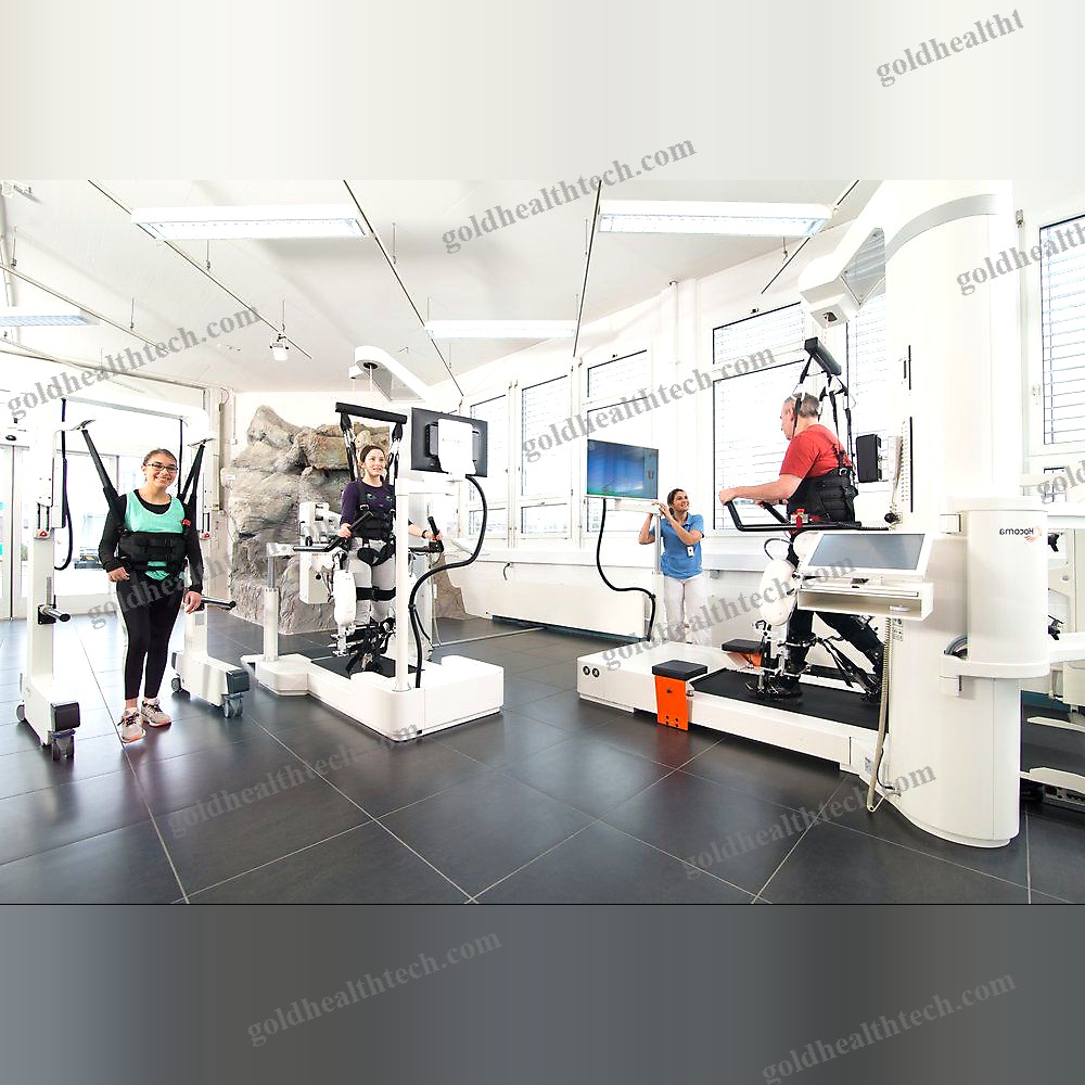 Gait Rehabilitation System