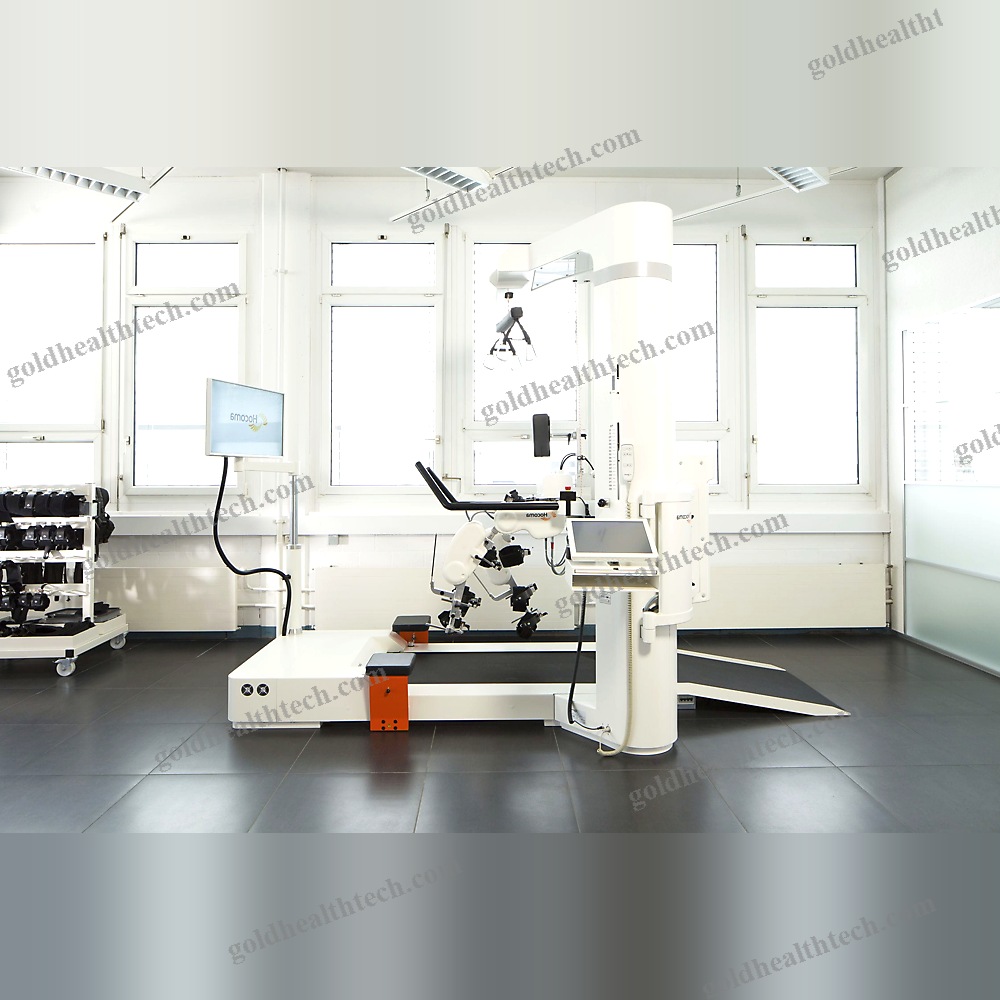 Gait Rehabilitation System