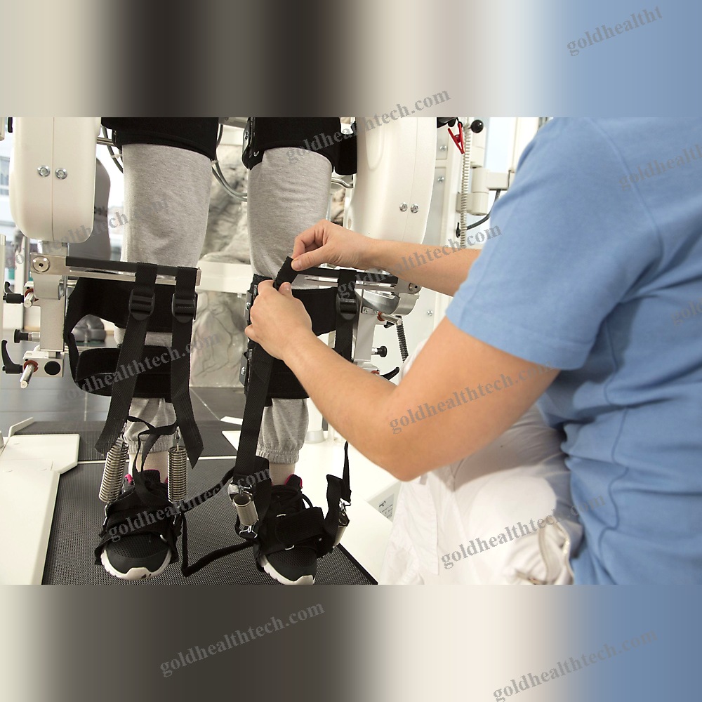 Gait Rehabilitation System