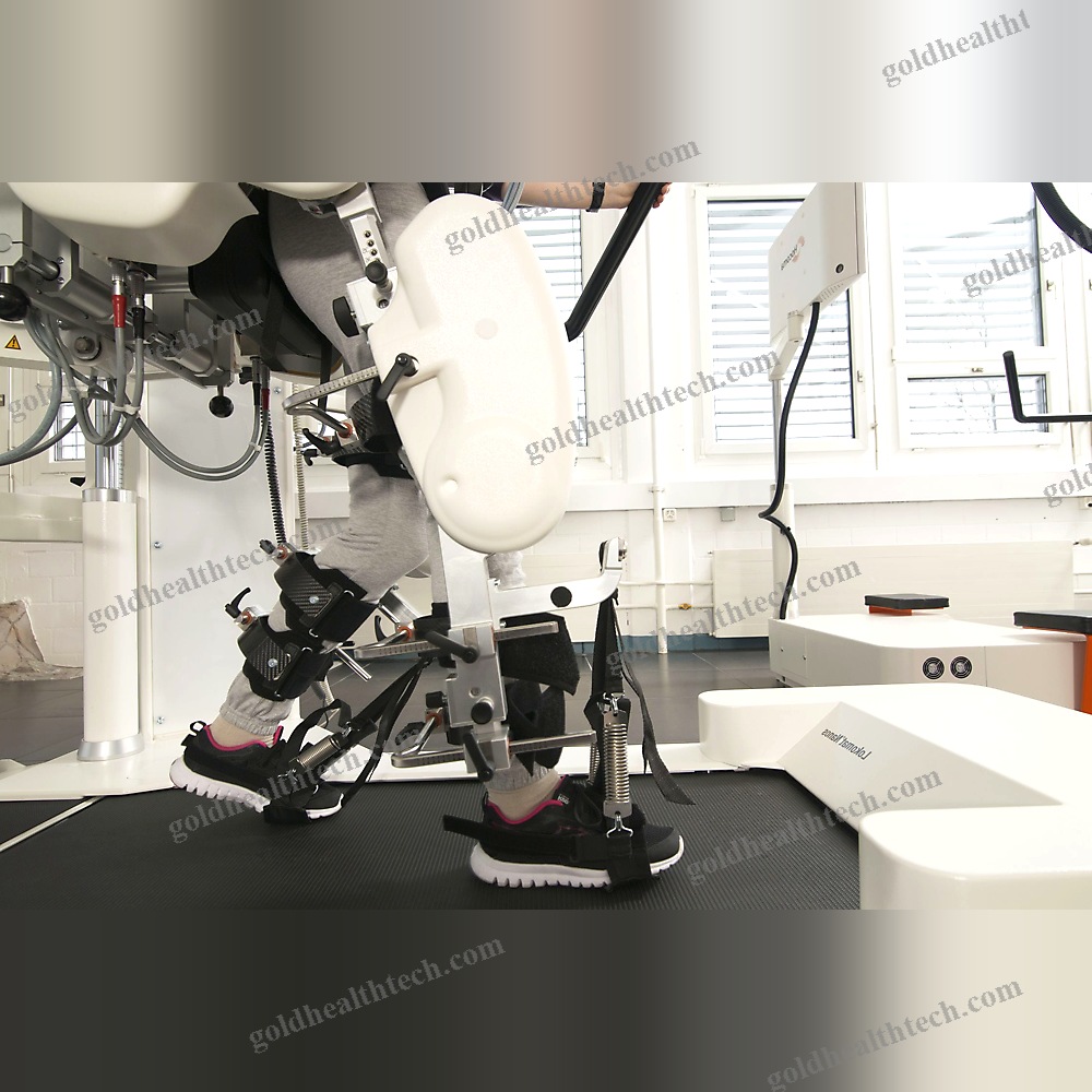 Gait Rehabilitation System