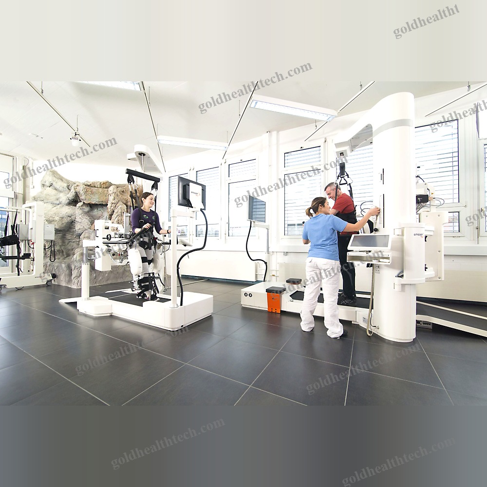 Gait Rehabilitation System