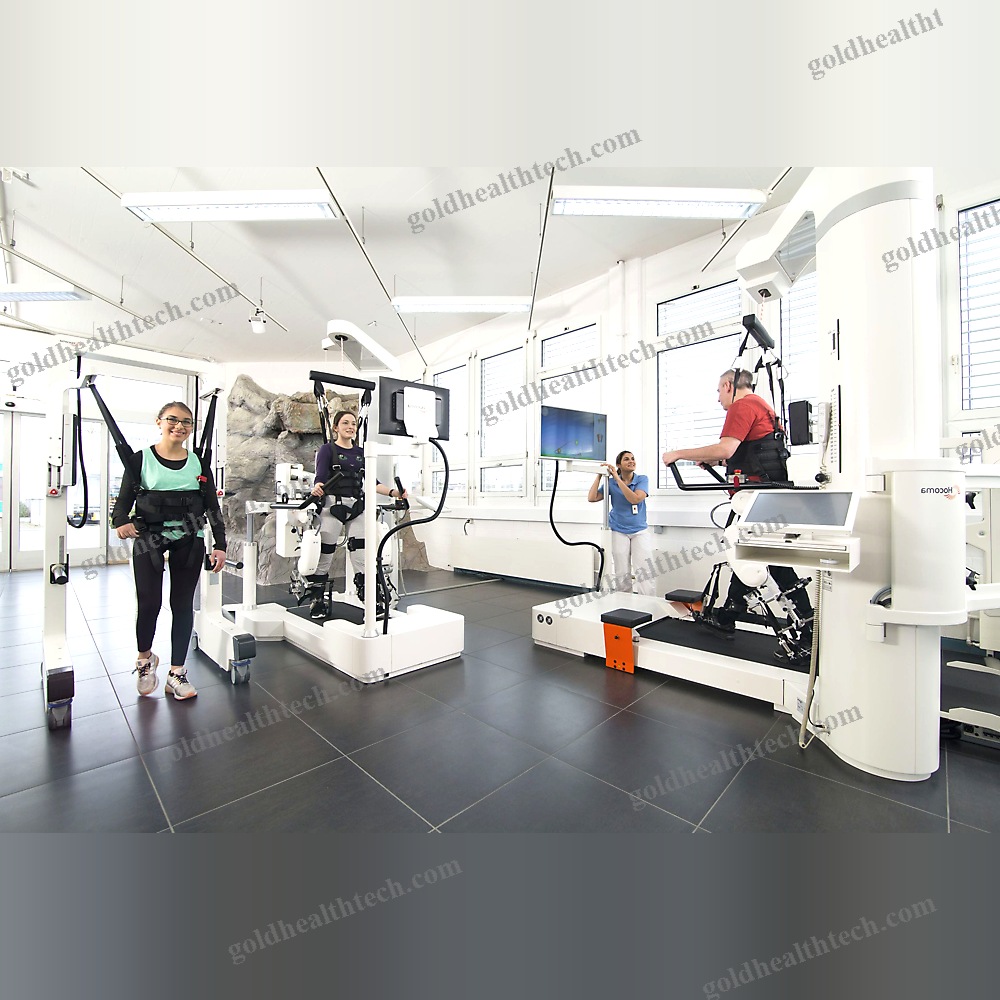 Gait Rehabilitation System