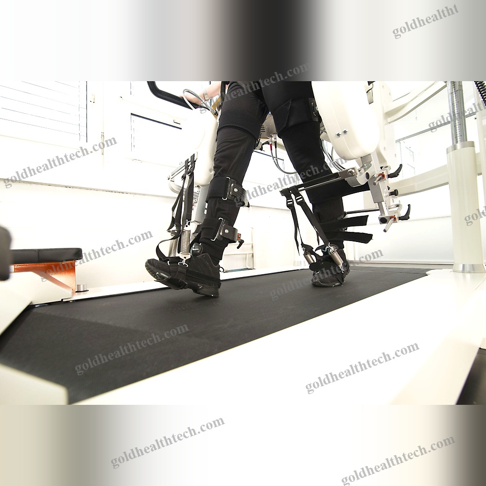 Gait Rehabilitation System