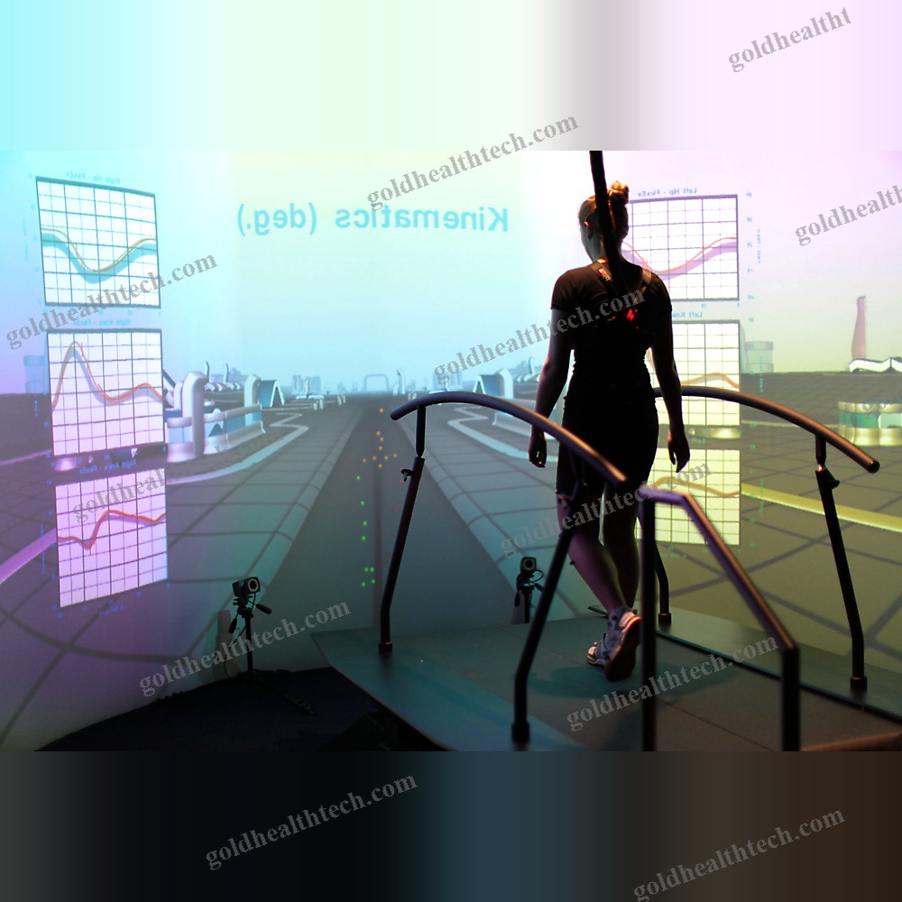 Gait Rehabilitation System