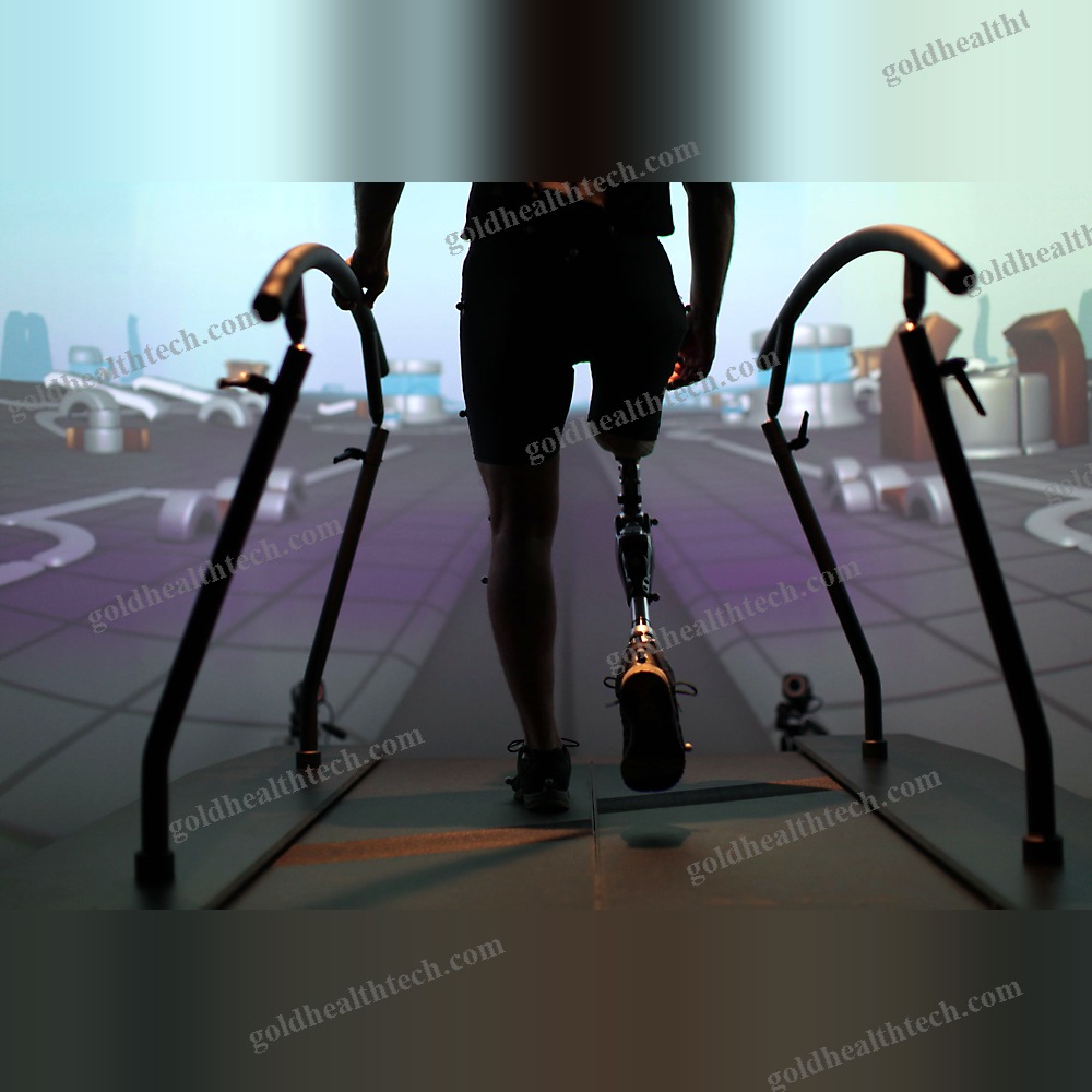 Gait Rehabilitation System