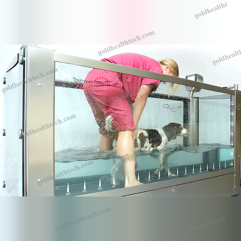 Underwater Veterinary Treadmill