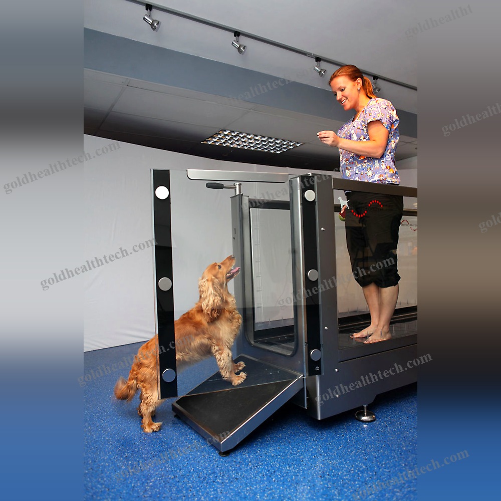 Underwater Veterinary Treadmill