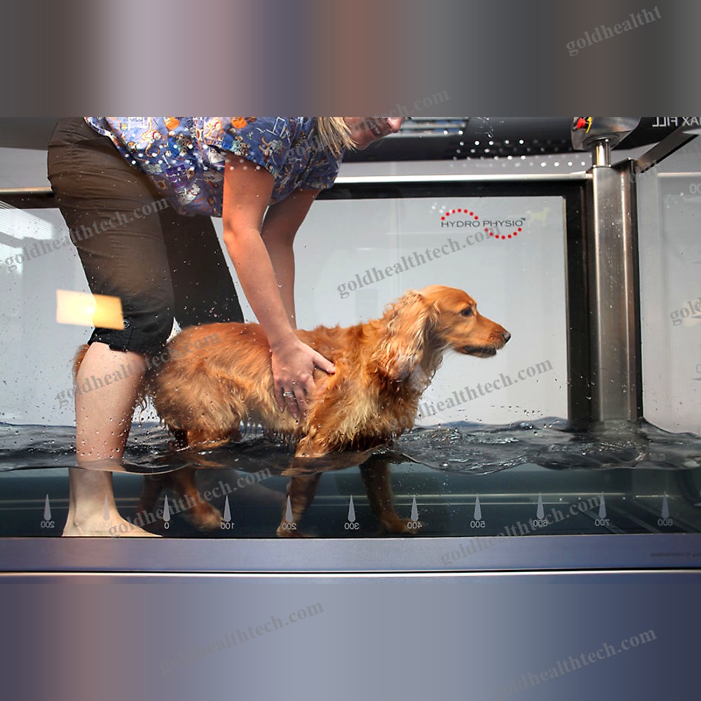 Underwater Veterinary Treadmill