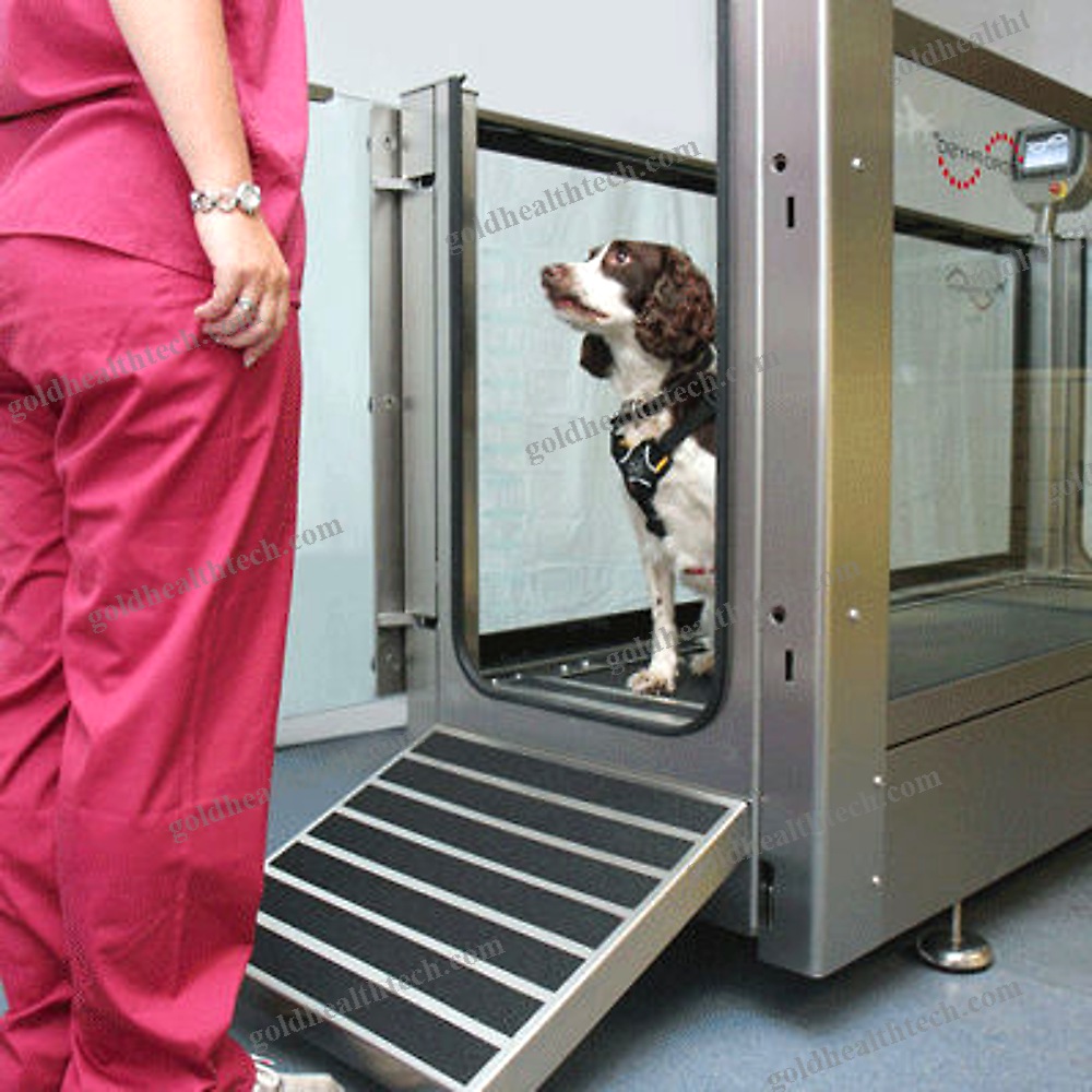 Underwater Veterinary Treadmill