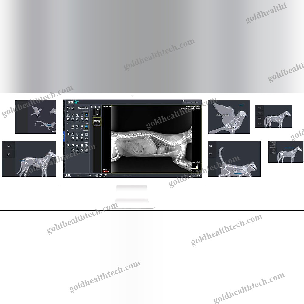 Veterinary Radiology Software