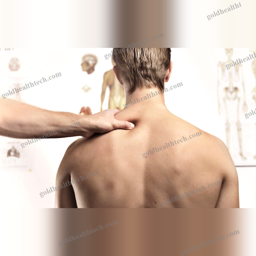 Posture Evaluation System