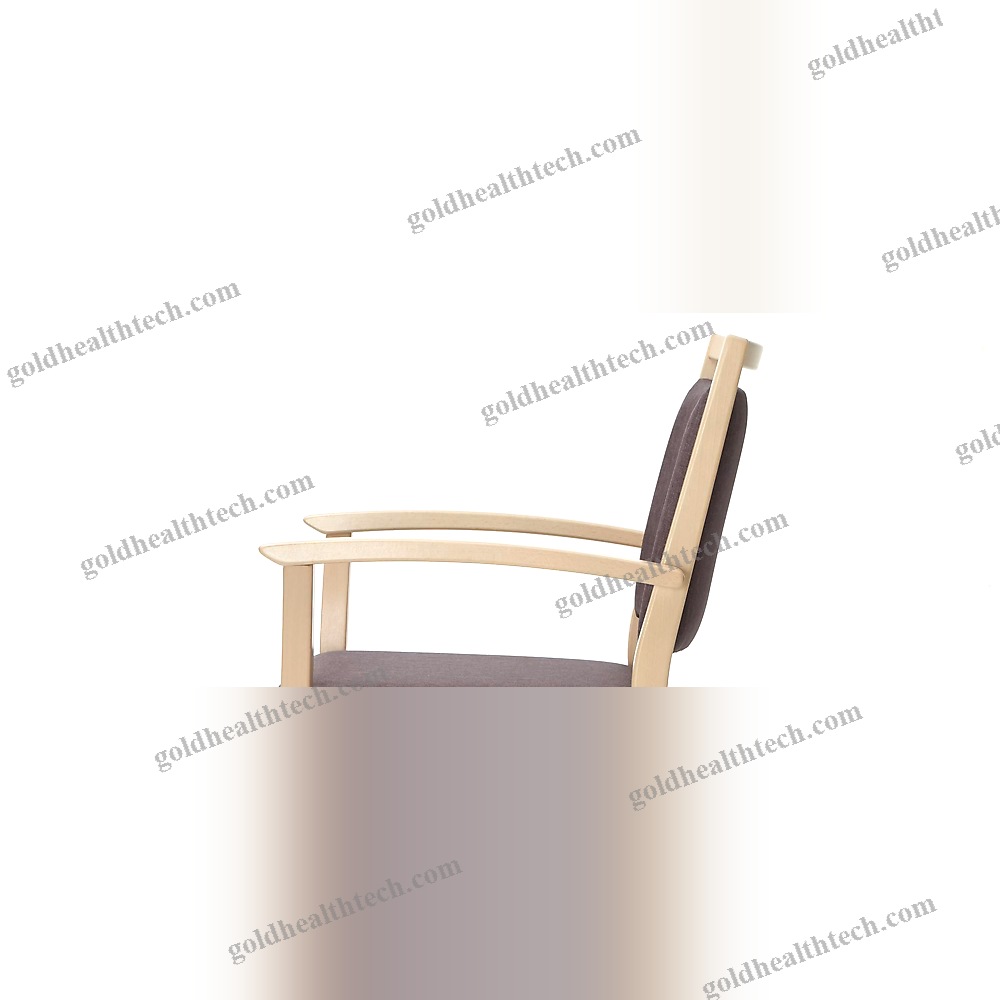 Dining Room Chair