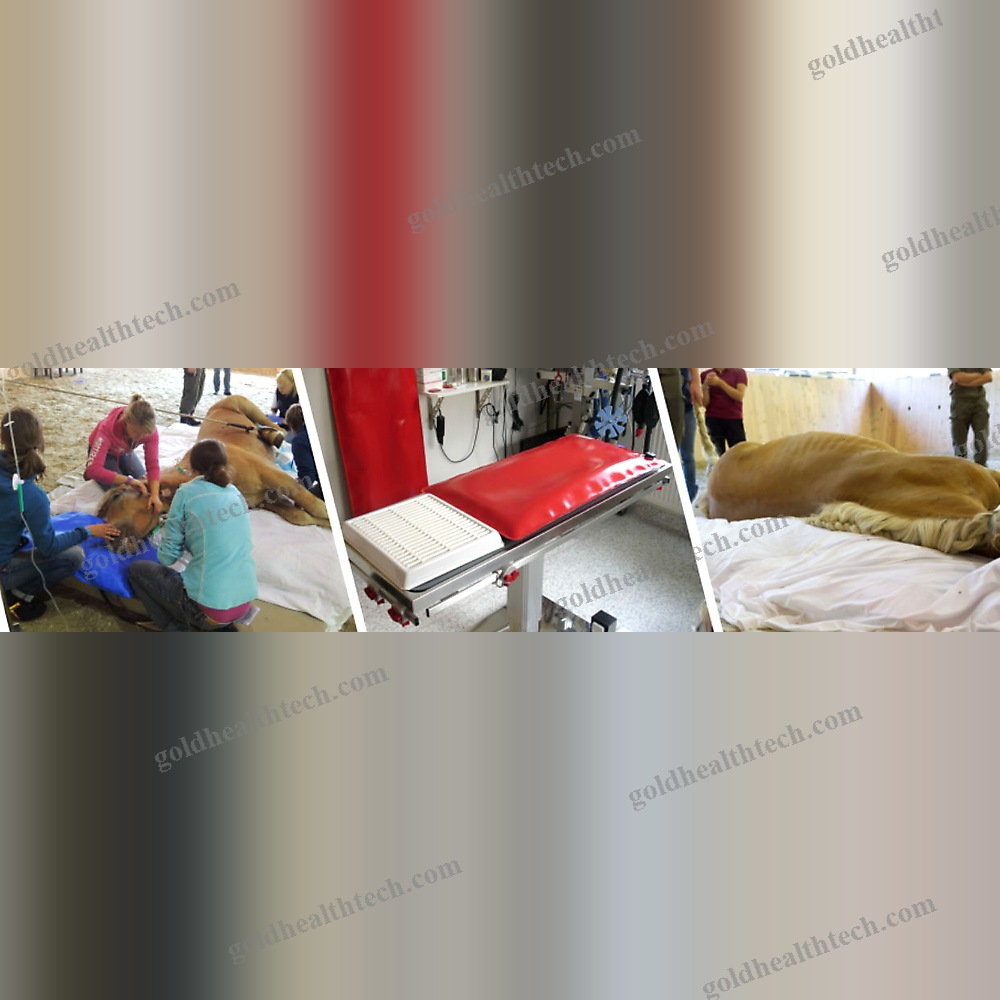 Veterinary Mattress
