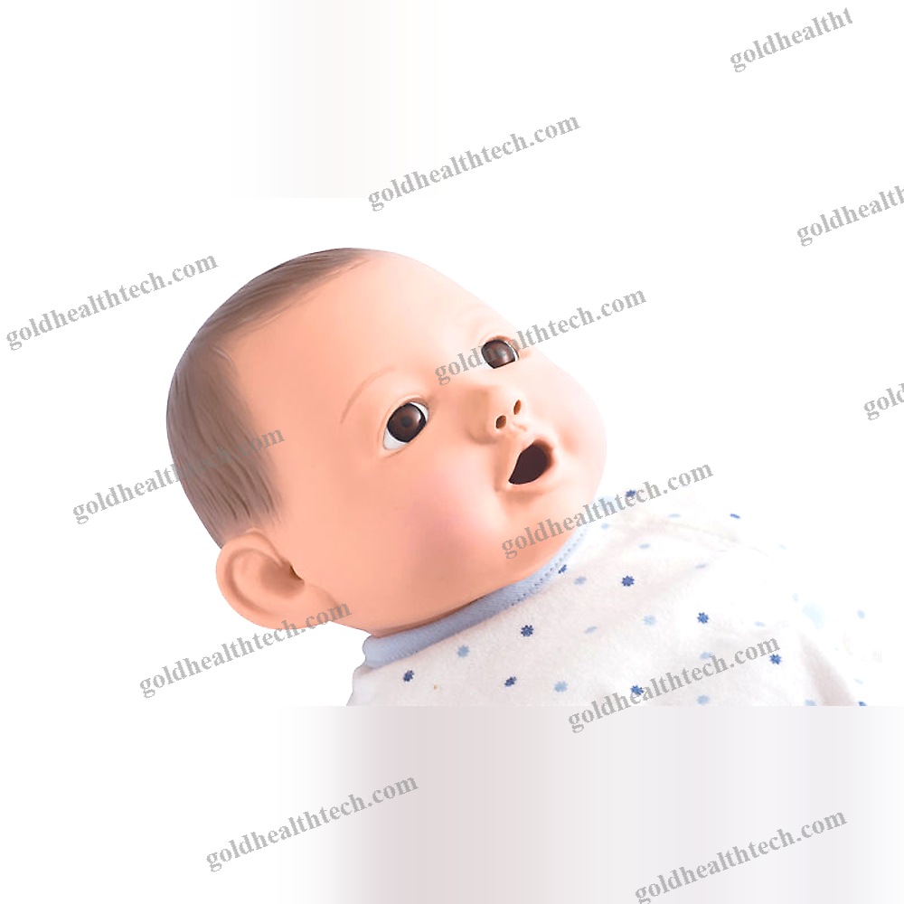 General Care Training Manikin