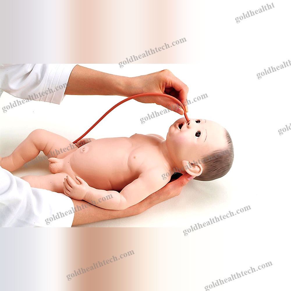 General Care Training Manikin
