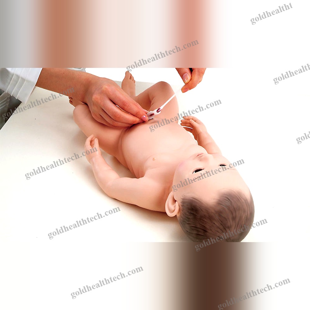 General Care Training Manikin