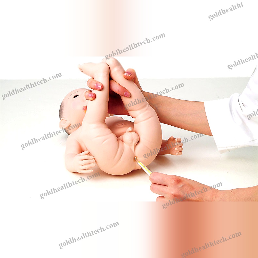 General Care Training Manikin